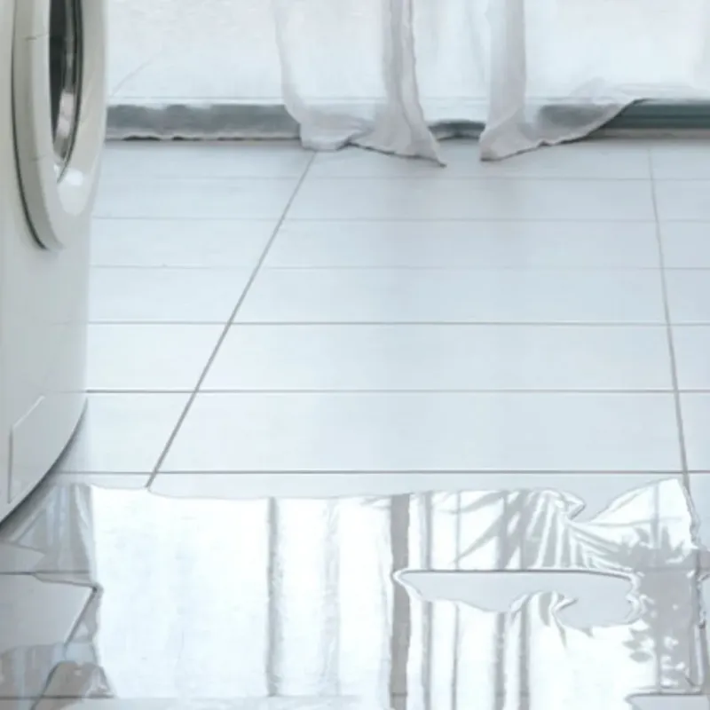 Appliance Leak Cleanup in Saint George, SC