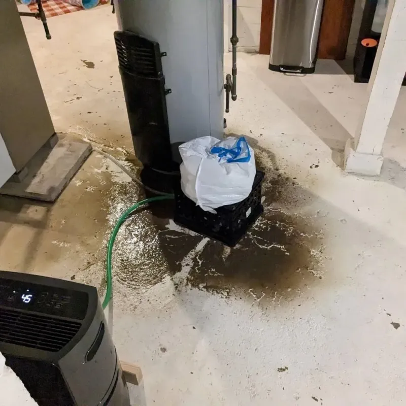 Sewage Backup Cleanup Service in Saint George, SC